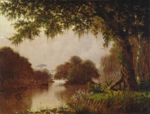 ミシシッピ川の沼、1871 作： Joseph Rusling Meeker
