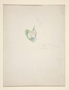 花 作： Joseph Stella
