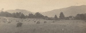 木々と山のある風景,c.1900年（写真）