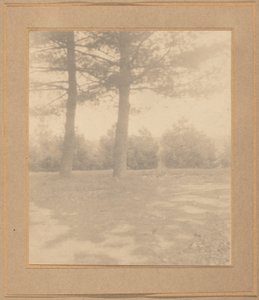 木々のある風景、1900年頃 作： Joseph Turner Keiley