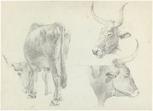イタリアの牛に関する 3 つの研究 作： Josephus Augustus Knip