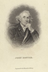ジョン・ハンター 作： Joshua Reynolds