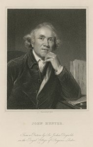 ジョン・ハンター 作： Joshua Reynolds