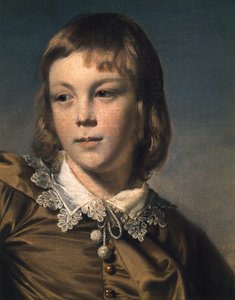 マスタートーマスリスター、ブラウンボーイ、1794年の4972の詳細
