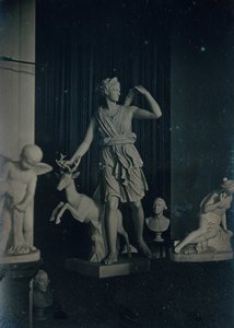 ボストン・アテネウムの彫刻ギャラリー、1855年頃。製作者ジョサイア・ジョンソン・ホーズ、アルバート・サンズ・サウスワース。 作： Josiah Johnson Hawes, Albert Sands Southworth