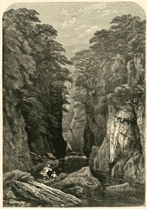 Fors Nothyn、北ウェールズ、c1850。 作： Josiah Wood Whymper