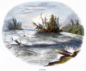 自然の現象からの急流、1849 作： Josiah Wood Whymper