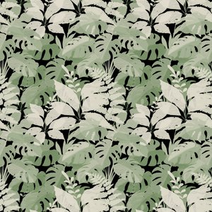 落ち着いた色合いの熱帯植物 作： 