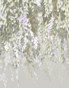 パステル調の藤の花 作： 