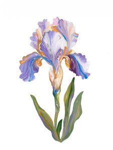 鮮やかな絵画的なアイリス 作： 
