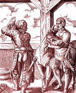 肉屋 - 中世の食と料理。ヨスト・アンマン（1539-1591）のエングレーヴィング。1878年 作： Jost (after) Amman
