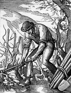 The Winegrower   1464032   ja       japanese Successfully Translated  Original: Italy, Piedmont Region, Alessandria Province, Serralunga di Crea, Sacro Monte di Crea, Sanctuary of Santa Maria Assunta, Chapel of St Margaret of Antioch, Fresco depicting Pale 作： Jost (after) Amman
