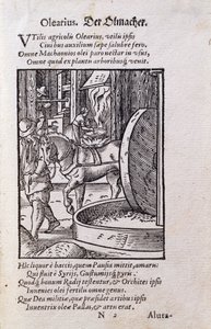 オイルメーカー、ハンス・サックス（1494-1576）の詩による「De Omnibus Illiberalibus Sive Mechanics Artibus」のラテン語版のイラスト。1574年（木版）。 作： Jost Amman