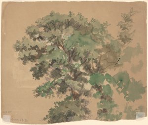 ツリー [裏面] 作： Jr. Enoch Wood Perry