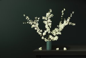 春の新鮮な花々 作： 