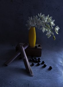 白い蘭と黄色い花瓶 作： 