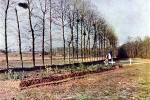 フランス西部戦線 オートクローム