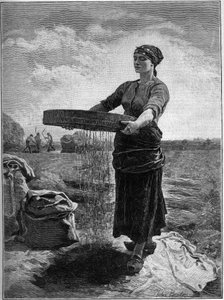 菜種絞り：ジュール・ブルトンの絵より。1888年の "The Family "にて。 作： Jules Breton