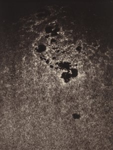 無題 (太陽の表面の研究) 作： Jules Cesar Janssen