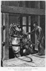 ルクルーゾの炭坑でウインチをしている馬、ルイシモナン作の「ラヴィスーテリーヌ」のイラスト（1830〜86年）1867