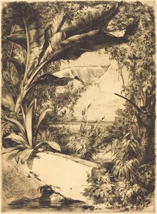 温室植物 作： Jules Ferdinand Jacquemart