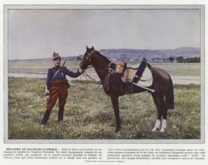 アフリカンハンターの准将