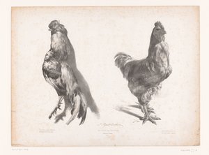死んだニワトリと生きたニワトリの研究 動物研究（シリーズタイトル） Petites études d