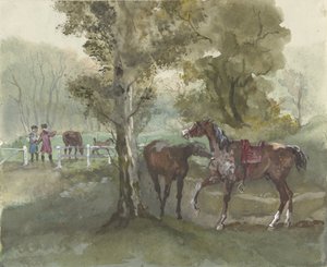 牧草地の馬