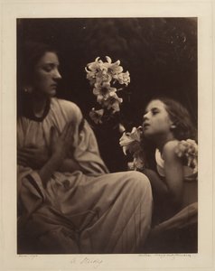  作： Julia Margaret Cameron