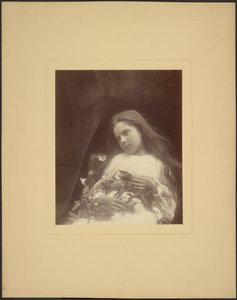 [アデリーン・ノーマン] 作： Julia Margaret Cameron