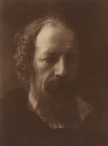 アルフレッド、テニスン卿、1867 年、1905 年に印刷。 作： Julia Margaret Cameron