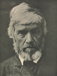 カメラワーク：カーライル 作： Julia Margaret Cameron