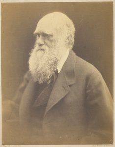 チャールス・ダーウィン 作： Julia Margaret Cameron