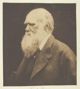 チャールス・ダーウィン 作： Julia Margaret Cameron