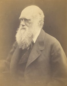チャールズ・ダーウィン、1868年。 作： Julia Margaret Cameron
