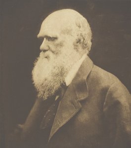 チャールズ・ダーウィン、1868年、1893年頃に印刷。 作： Julia Margaret Cameron