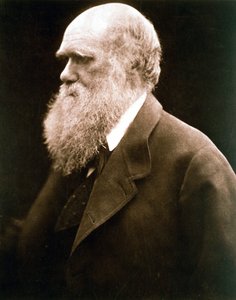 チャールズ・ダーウィン、イギリスの博物学者、1870年代 作： Julia Margaret Cameron