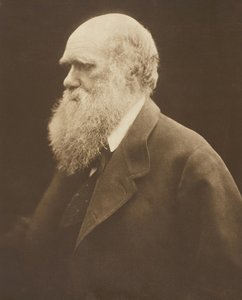 チャールズ・ダーウィン、c。 1868 年、1875 年に印刷。 作： Julia Margaret Cameron