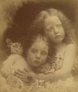 イングリッシュブロッサム、1873年。 作： Julia Margaret Cameron