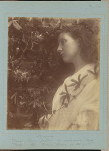 モード 作： Julia Margaret Cameron