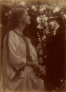 春 作： Julia Margaret Cameron