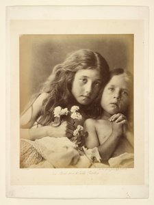 赤と白のバラ 作： Julia Margaret Cameron