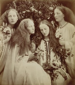女の子のバラのつぼみの庭 (アルブメン プリント) 作： Julia Margaret Cameron
