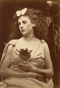 ひまわり、1870 年代初頭。 作： Julia Margaret Cameron