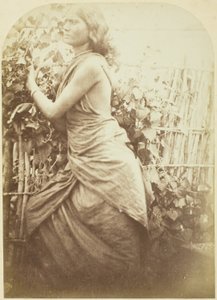 女性、セイロン 作： Julia Margaret Cameron
