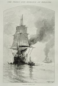 世紀誌1890年8月号の「The Perils and Romance of Whaling」に掲載された「Whalers Trying Out」（鯨を切り分けてその肉を船上に運ぶ）（エングレーヴィング 作： Julian Oliver Davidson