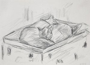 猫の巣作り、2015年（鉛筆）