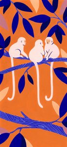 色とりどりの木登り猿