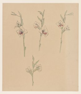 花学 作： Julie de Graag