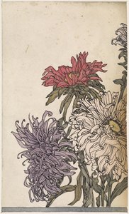 菊 作： Julie de Graag